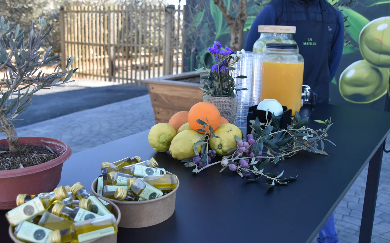 Mesa de bienvenida de un evento en La Matilla: zumo natural, cítricos, ramas de olivo y botellitas de aceite