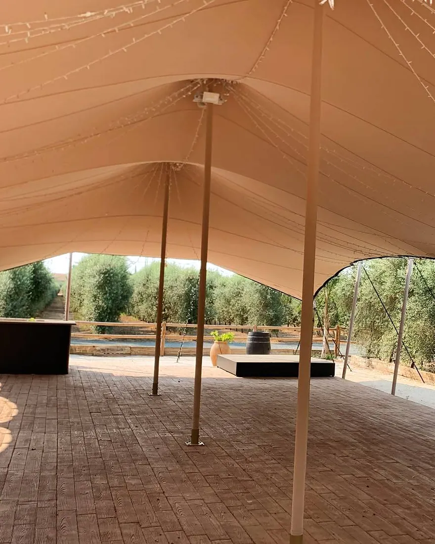 Carpa de 200 m² con guirnaldas de luces, abierta al olivar