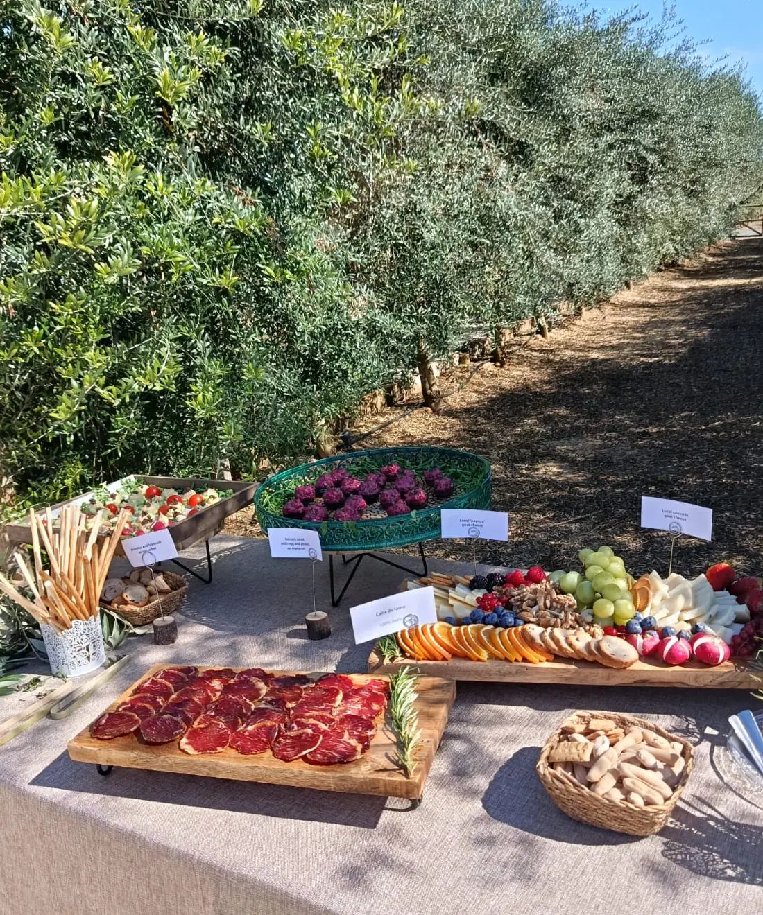 Mesa de picoteo montada entre los olivos: embutido, quesos, fruta y picos