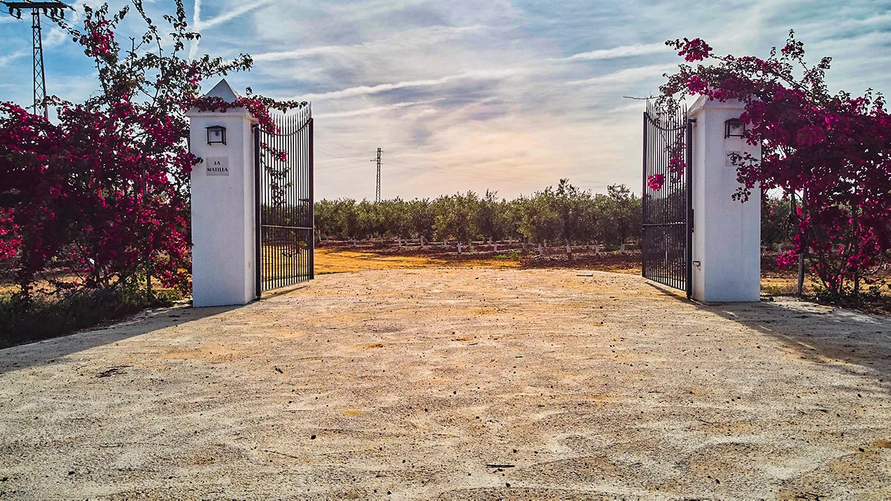 Portón de entrada a La Matilla, con flores y olivar al fondo